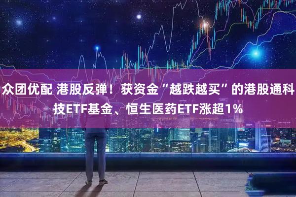 众团优配 港股反弹！获资金“越跌越买”的港股通科技ETF基金、恒生医药ETF涨超1%
