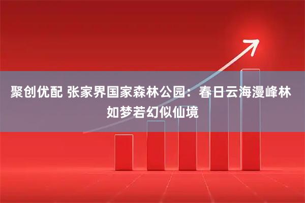 聚创优配 张家界国家森林公园：春日云海漫峰林 如梦若幻似仙境