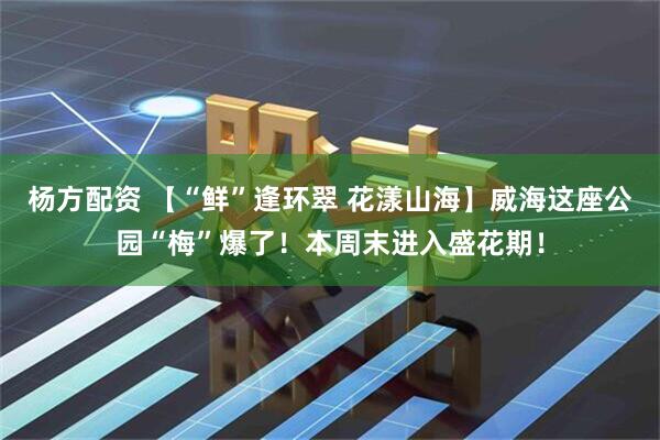 杨方配资 【“鲜”逢环翠 花漾山海】威海这座公园“梅”爆了！本周末进入盛花期！