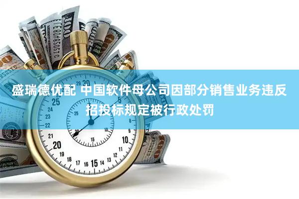 盛瑞德优配 中国软件母公司因部分销售业务违反招投标规定被行政处罚