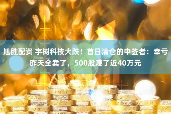 旭胜配资 宇树科技大跌！首日清仓的中签者：幸亏昨天全卖了，500股赚了近40万元